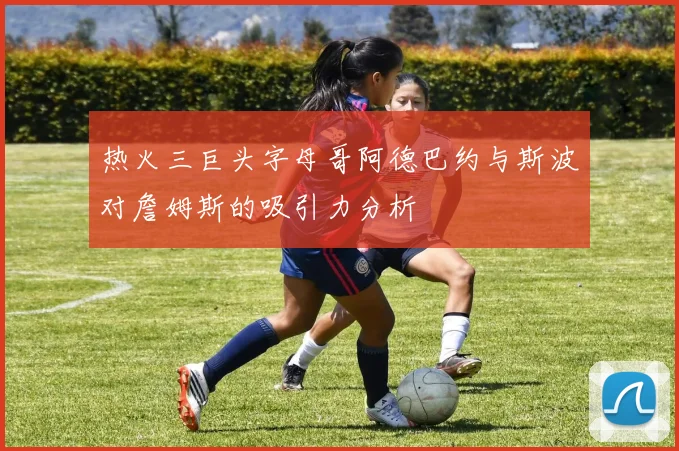 热火三巨头字母哥阿德巴约与斯波对詹姆斯的吸引力分析