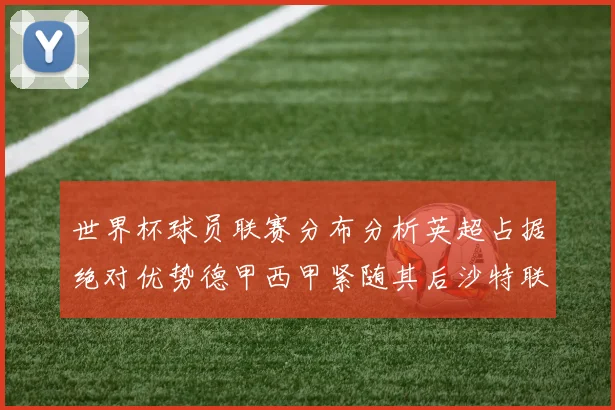 世界杯球员联赛分布分析英超占据绝对优势德甲西甲紧随其后沙特联排名第六