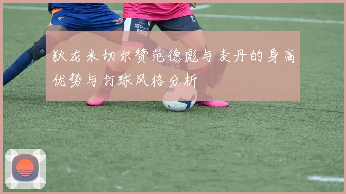 狄龙米切尔赞范德彪与麦丹的身高优势与打球风格分析